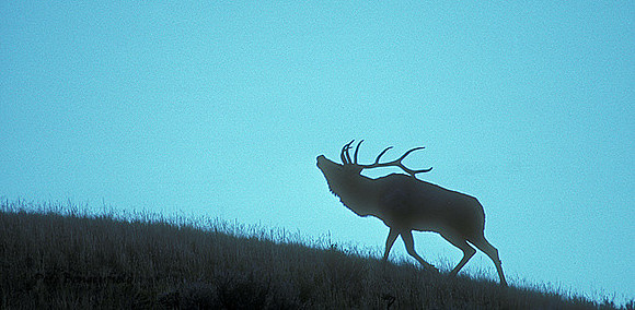 elk-1792-k
