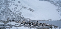 Antarctica