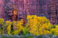 Zion National Park