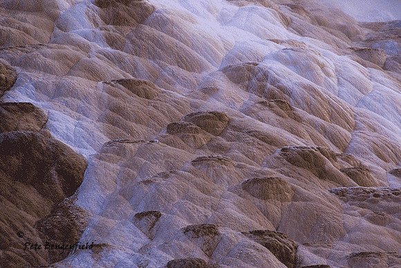 y-5379-d