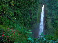 Big Island