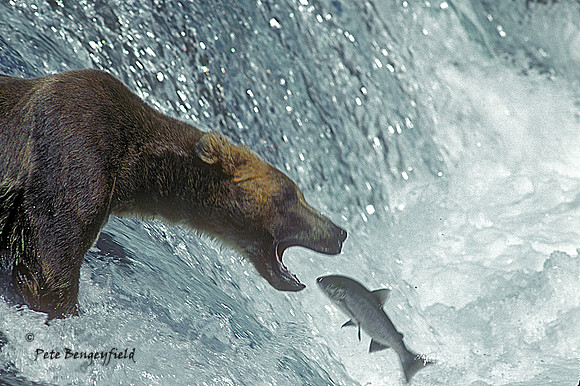 Fishing the Hard Way