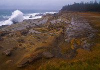 Cape Arago
