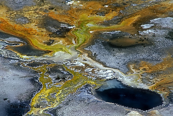 Bacteria Rainbow