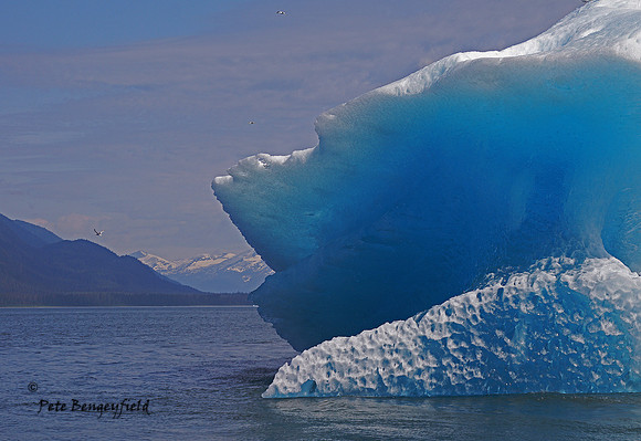 Blue Berg