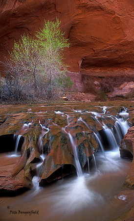 Coyote Gulch Waterfall