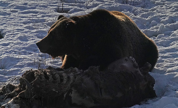 gb-4835-d