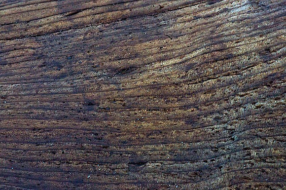 Driftwood