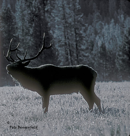 elk-0400-k