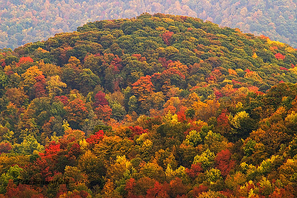 Autumn Pallette