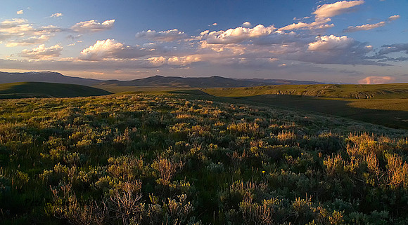 Centennial Splendor