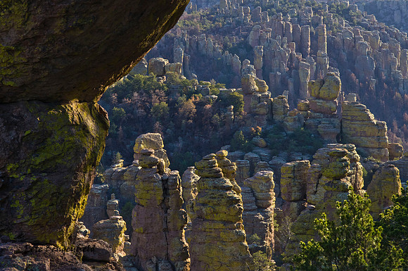 Chiricahua Hoodoos