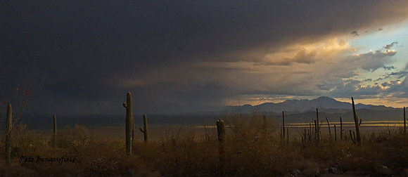 Arizona Rain