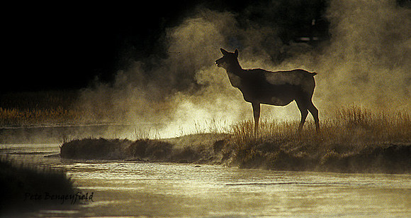 elk-2708-f