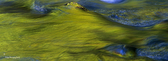 h2o-1164-f