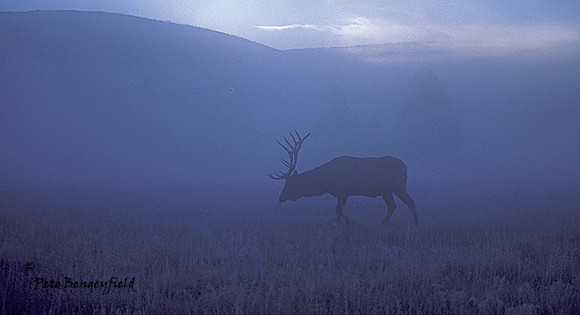 elk-0840-k