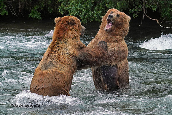 Friendly Tussle
