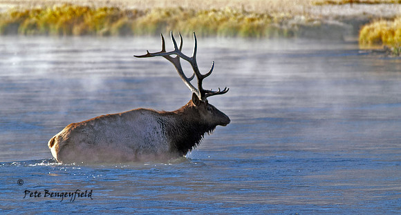 elk-5016-d