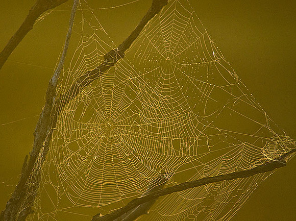 web-002-d