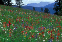 Grand Teton National Park