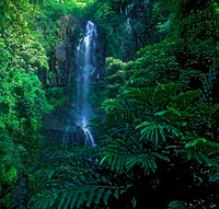Maui
