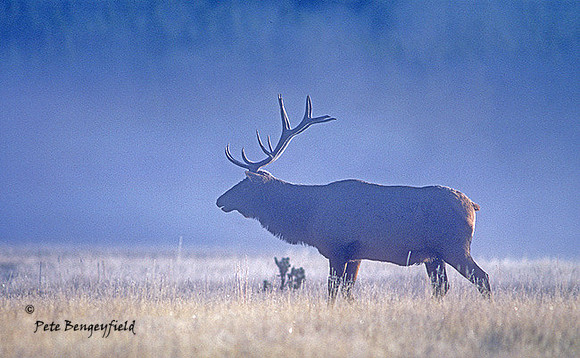 elk-0860-k