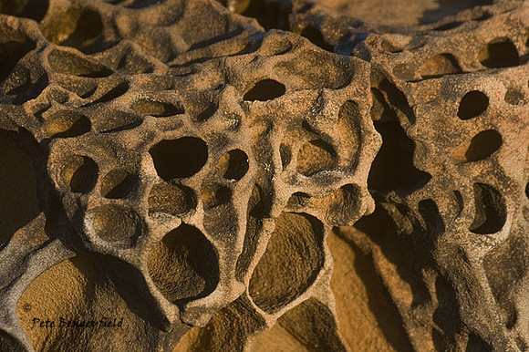 Tafoni, Bean Beach SP, CA.