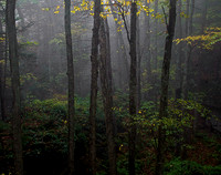 West Virginia