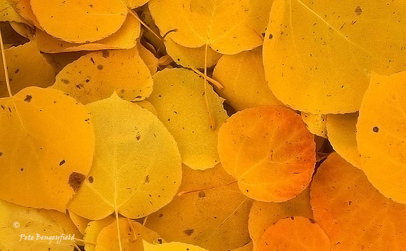 fal-402-f